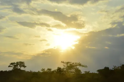 DSC_5401 (Large).JPG